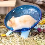 Silent Working Wheel for Small Animals, 12 Inch Flying Saucer Design, ... - Image 5
