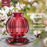 Glass Hummingbird Feeder for Outside Hanging, 26Oz Chook Nectar Feeder... - Image 3