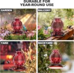 Glass Hummingbird Feeder for Outside Hanging, 26Oz Chook Nectar Feeder... - Image 5