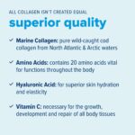 Simply Bjorn Marine Collagen Peptides Powder for Ladies & Males - Pores and skin, Hai... - Image 4