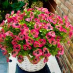 Synthetic Flowers for Open air Faux Crops, 12pcs Faux Flowers Artifi... - Image 6