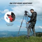 NEEWER 76" Video Digital camera Tripod with Fluid Head, One Step Fast Launch... - Image 4