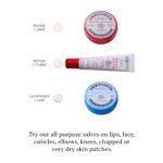 C.O. Bigelow Rose Salve Tubes, Pack of three Lip Balm Tubes, All Function S... - Image 7