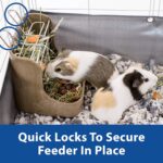 Kaytee Hay & Meals Bin Feeder With Fast Locks For Pet Rabbits, Chinchi... - Image 6