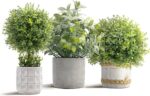 3 Pack Pretend Crops in Cement Planter, Small Synthetic Crops Indoor, ... - Image 2