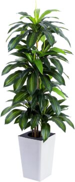 Synthetic Dracaena Tree with White Tall Planter, 5ft Tall Potted Arti... - Image 2