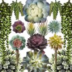 Synthetic Succulents - 15 Pack - Premium Unpotted Succulent Vegetation Ar... - Image 2