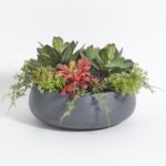 CG Hunter Fake Succulent Association, Premium Synthetic Indoor Plant ... - Image 2
