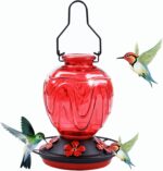 Glass Hummingbird Feeder for Outside Hanging, 24Ozs Buzzing Chook Nect... - Image 2
