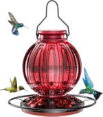 Glass Hummingbird Feeder for Outside Hanging, 26Oz Chook Nectar Feeder... - Image 2