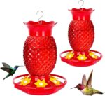 Glass Hummingbird Feeders for Outdoor Hanging Ant and Bee Proof 16OZ ... - Image 2
