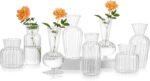 Mini Glass Vases for Centerpieces - Hewory Clear Small Bud Vases in Bu... - Image 2