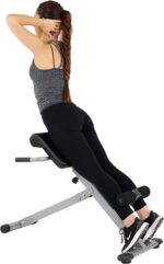 Sunny Well being & Health Foldable Hyperextension Roman Chair w/Again Exte... - Image 2