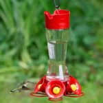 Perky-Pet Favored Pinch-Waist Glass Hummingbird Feeder with Constructed-in A... - Image 3
