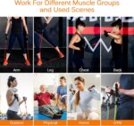 Uten Resistance Bands - Image 8