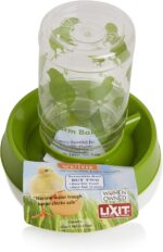 Lixit Child Chick Feeder or Waterer (Pack of 1) - Image 3