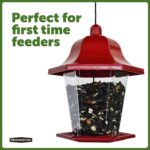Pennington Songbird Lantern Chicken Feeder, Crimson, 8 inches excessive 6 inches W... - Image 4