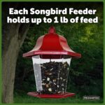 Pennington Songbird Lantern Chicken Feeder, Crimson, 8 inches excessive 6 inches W... - Image 8