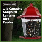Pennington Songbird Lantern Chicken Feeder, Crimson, 8 inches excessive 6 inches W... - Image 9