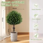 Synthetic Cedar Topiary Ball Tree 23" with Floor Spike, Set of two Artwork... - Image 3