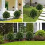 Synthetic Cedar Topiary Ball Tree 23" with Floor Spike, Set of two Artwork... - Image 7