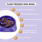 Gradual Feeder Canine Bowls, Pet Provides That Gradual Down Consuming, Pet Meals Bo... - Image 3