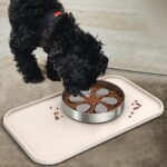 Pet Feeding Mat [Warped Resistant Raised Edge], Water-Proof Silicone P... - Image 6