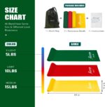 Resistance Bands, Train Bands, Bodily Remedy Bands for Energy ... - Image 8