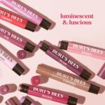 Burt's Bees Shimmer Lip Tint Stocking Stuffers Set, Moisturizing for A... - Image 6