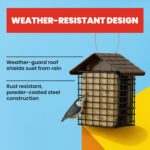 Extra Birds Double Suet Feeder with Climate Guard, 6.5" L X 4.25" W X 7... - Image 3