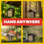 Extra Birds Double Suet Feeder with Climate Guard, 6.5" L X 4.25" W X 7... - Image 6