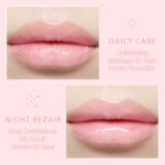 4 PCS Bee Lip Balm - Honey Watermelon Apple Coconut Lip Balm Sleeping ... - Image 6