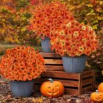 24 Bundles Synthetic Fall Flowers for Outdoor, Practical Faux Silk F... - Image 5