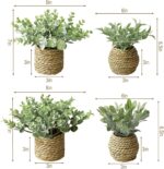 Small Pretend Potted Crops: 7 Inches Synthetic Crops with Seagrass Han... - Image 3