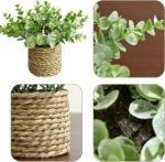 Small Pretend Potted Crops: 7 Inches Synthetic Crops with Seagrass Han... - Image 4