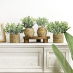 Small Pretend Potted Crops: 7 Inches Synthetic Crops with Seagrass Han... - Image 7