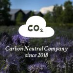 Davines LOVE Curl Primer, Anti-Humidity Blow-dry Prep Resolution for Wav... - Image 9