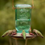 Extra Birds Mason Jar Hummingbird Feeder, Glass Hummingbird Feeders for... - Image 3