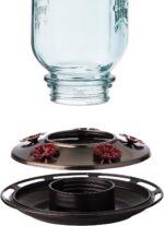 Extra Birds Mason Jar Hummingbird Feeder, Glass Hummingbird Feeders for... - Image 4
