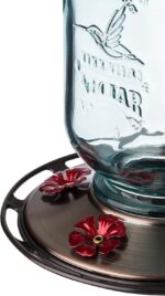 Extra Birds Mason Jar Hummingbird Feeder, Glass Hummingbird Feeders for... - Image 5