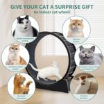 Giant Cat Train Wheel 40 Inch Treadmill Exerciser for Indoor Cats L... - Image 4