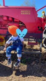 Winter Thick Knitted Beanie Hat for Toddler Children Toddler Boys Ladies Sof... - Image 7