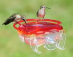 Features ASPECTS437 The Gem Window Hummingbird Feeder - Image 3