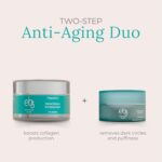 eb5 Every day Restore Eye Remedy | Below Eye Cream for Darkish Circles and ... - Image 6