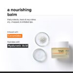 Minimalist Ceramide Lip Balm | With Hyaluronic Acid to Hydrate & Repai... - Image 3