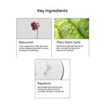 CLEARSTEM - HYDRAGLOW Stem Cell Moisturizer - Bakuchiol + Squalene - Y... - Image 4