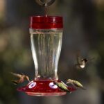 Extra Birds Fowl Well being+ Large Gulp Hummingbird Feeder, Glass Hummingbird... - Image 3
