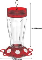 Extra Birds Fowl Well being+ Large Gulp Hummingbird Feeder, Glass Hummingbird... - Image 4