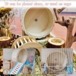 Hamiledyi Wood Hamster Wheel, Small Pets Train Wheel, Silent Runn... - Image 7