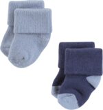 Hudson Child Child Toddler Boy Cotton Wealthy New child and Terry Socks, Blue ... - Image 5